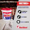 imageRed Devil 0542 ONETIME Lightweight Spackle Wall Repair Spackling for Holes Drywall 12 Pint White 8 Ounce Made in USA1 Gallon